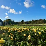 Kodawari Voorhout