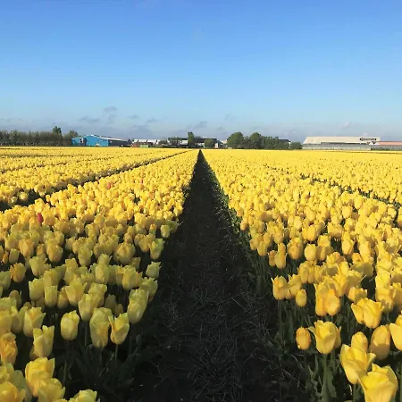 Kodawari カントリーハウス *