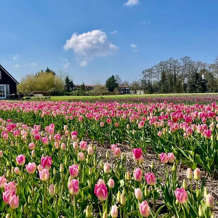 カントリーハウス Kodawari *