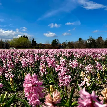 Kodawari Landsted Voorhout