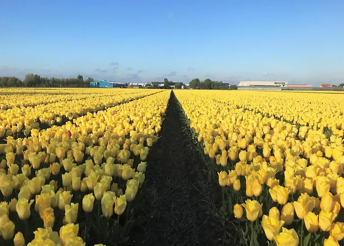 Kodawari Casa rural *