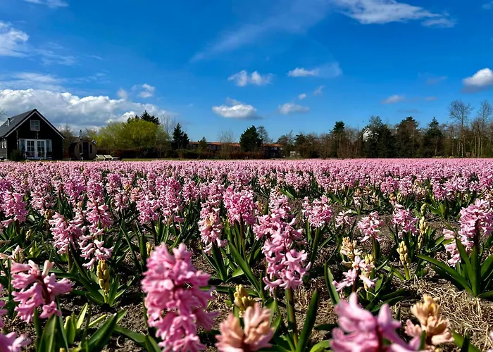 Kodawari Casa rural Voorhout